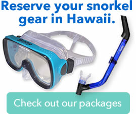 snorkel gear hawaii