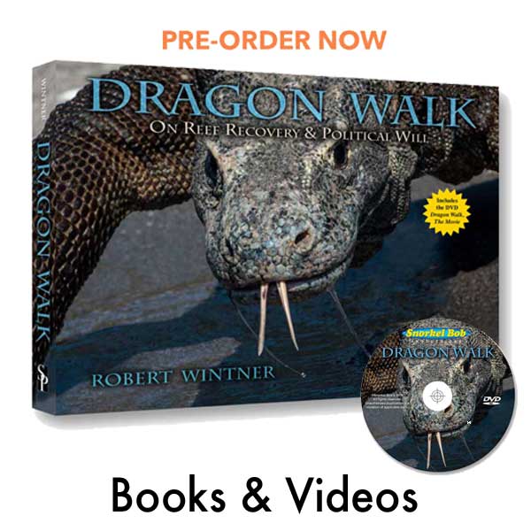 products_books_videos_box Snorkel Bob's