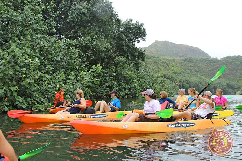 kauai kayak snorkel tours