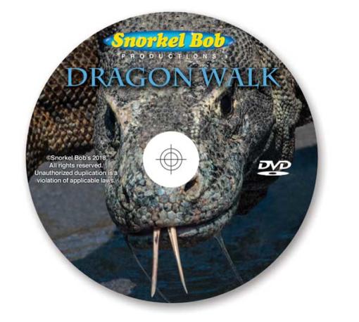 dragon walk the movie