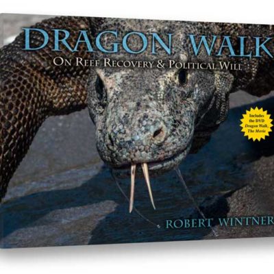 dragon walk the book