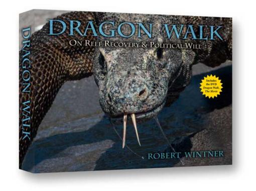dragon walk the book