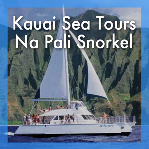 snorkel trip kauai