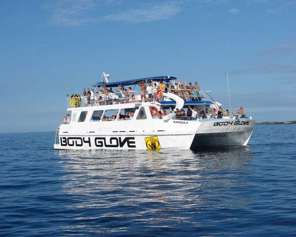 body glove whale tour kona