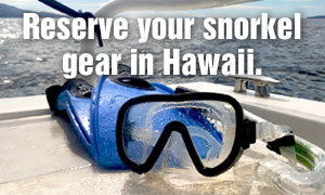 Reserve-Gear-Home-Page-Sidebar_300px Reserve your snorkel gear in Hawaii.