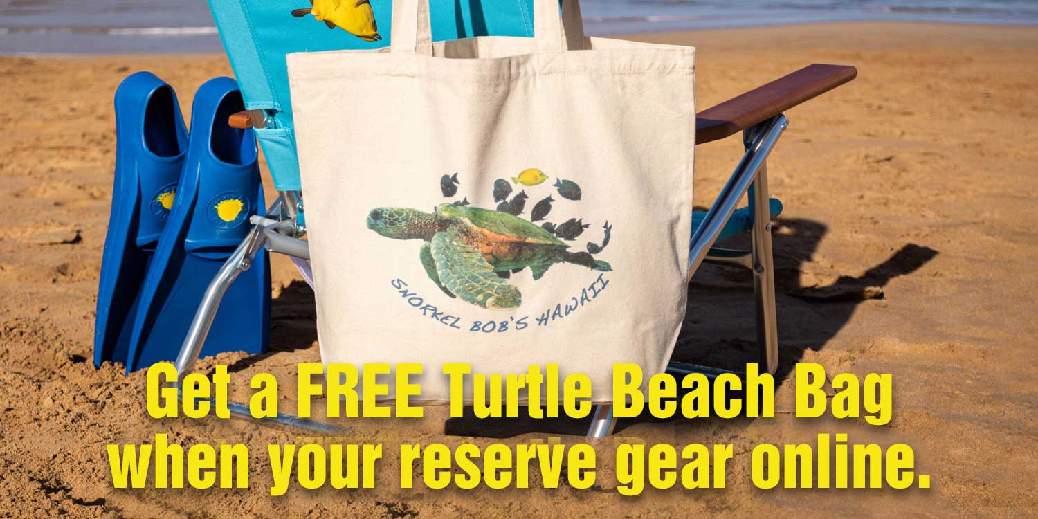 Free Turtle Beach Bag