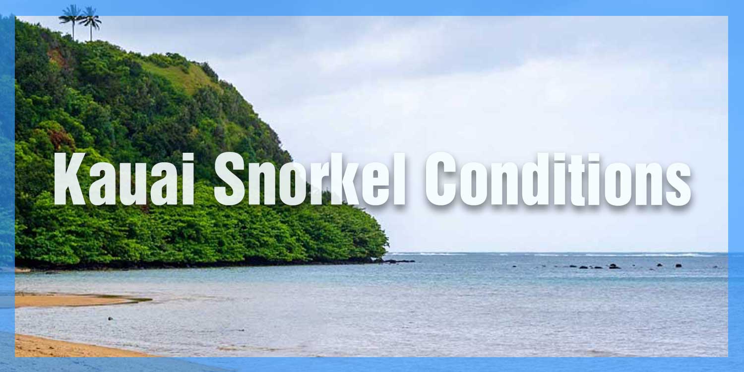 Snorkel Conditions Kauai