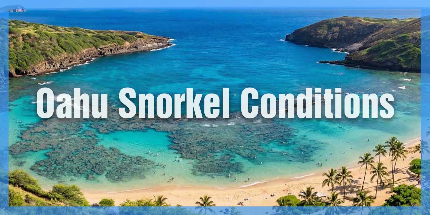 Oahu Conditions Box Link
